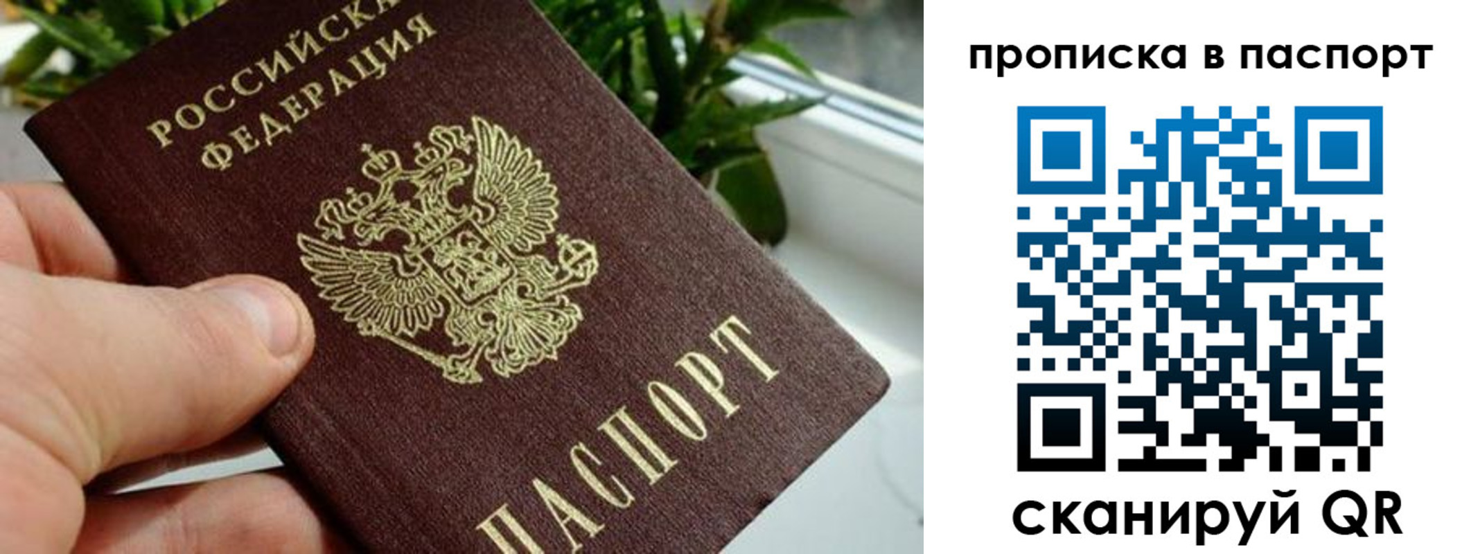пропишу в квартире в Электростали